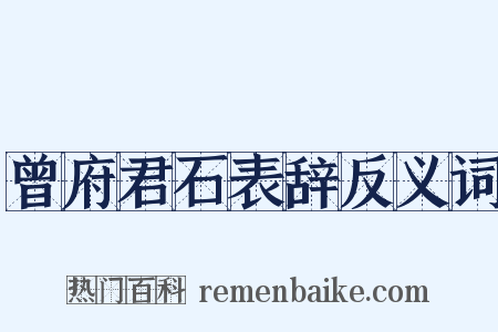 曾府君石表辞反义词是什么意思的图片